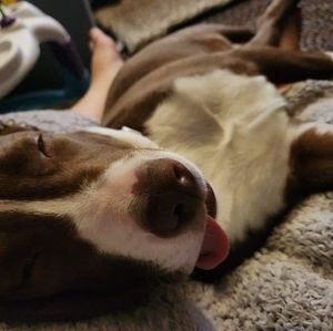 Meet your Posher, Leighann